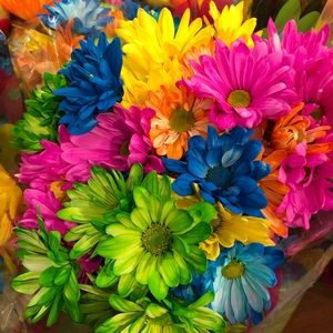 Meet your Posher, Lindsay